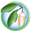 You are a hungry worm who needs to cap more socials so you can spread your wings! Social Cocoon