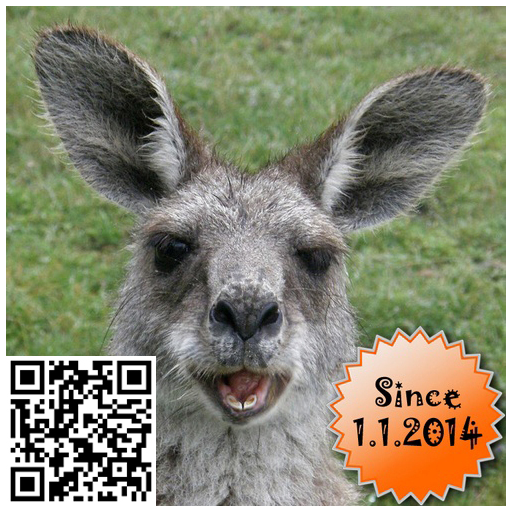 Munzee. 21st Century Scavenger Hunt.